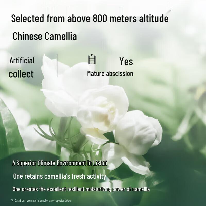 Adolph Camellia Herbal Repair Shampoo