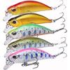 CONTYU Stream Lure Trout Minnow Set Sinking 50mm 4.8g Flat Type Yamame 5 Pieces (50mm Color (Set 5)) Sports Outdoors