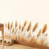 Green Plants Wall Sticker Self-adhesive Waterproof PVC Spring Floral Plants Sticker Home Office Living Room Bedroom Wall Decoration Decal
