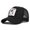 Luer og hatter – Baseball capser