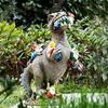 Înverzire şi amenajare – Decorațiuni pentru livadă