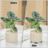 50pcs Invisible Flower Pot Feet Black Non-Slip Feet For Flower Tubs 3x1cm Self-Adhesive Flower Pot Feet Gardening Accessories