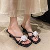 One-word Slippers Women's Summer Wear 2025 New Internet Celebrity Fashion Exquisite Beauty with Skirt Thick High Heels Sandals Sandals