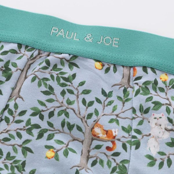 Paul Joe Graue Boxershorts & Herren