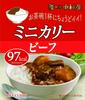 Shinjuku Nakamuraya Mini Curry Beef 100g X 10 Bags