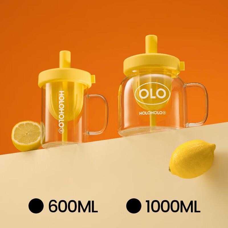 HOLOHOLO Borosilicate Glass Tea Infuser Bottle