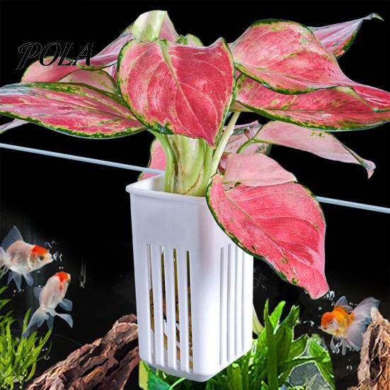 Plastic Plant Cup Tank Container, Hydroponic Holder, Wall Mounted Holder Aquatic Pot, Aquarium Planter Pot Fish Decoration