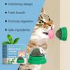 YEGBONG Mint Flavored Spinning Cat Ball Toy (1pc) - Safe Chewing Toy for Cats, Dental Cleaning and Care, Spinning Mint Ball for Your Cat's Health