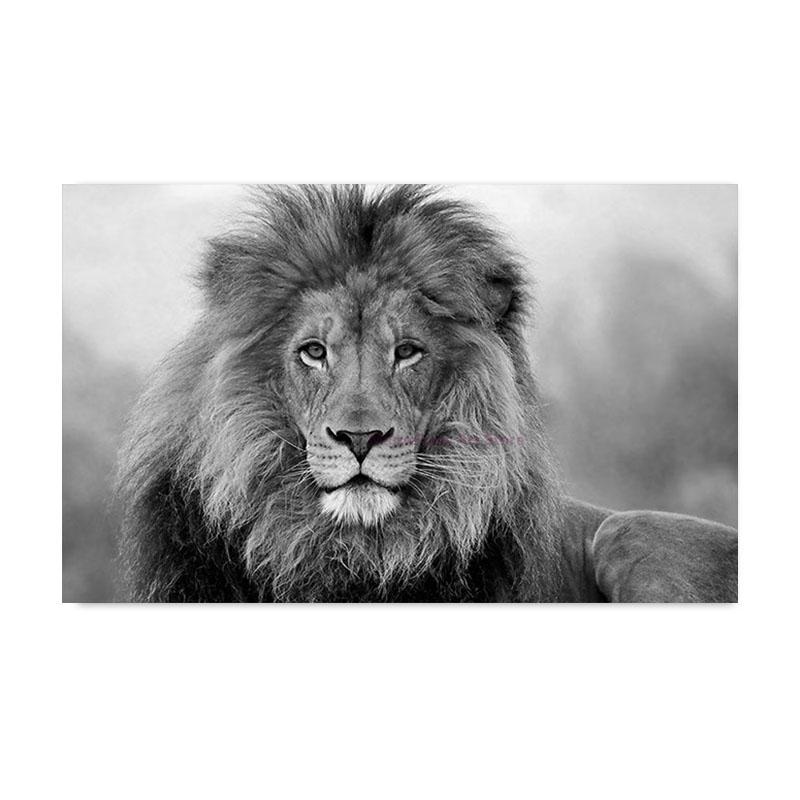 

Черно-белый постер и принты с изображением дикого животного льва, современные картины на холсте, настенное искусство для гостиной, украшение дома, Cuadros 50x70cm No Framed