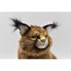 BH7047 HANSA Caracal 28