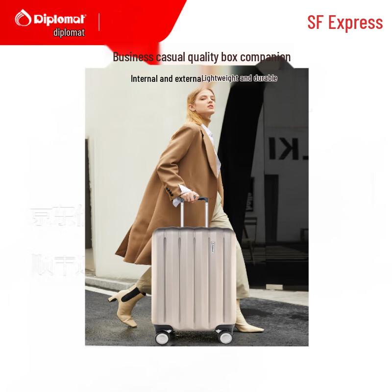 

Diplomat DS-13100 PCTSA Hardside Luggage 20 inch