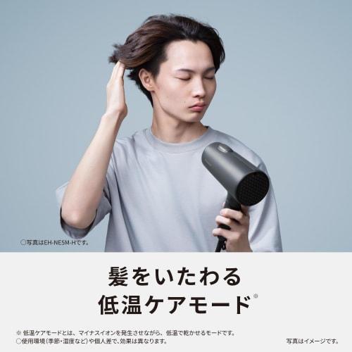 Panasonic Hair Dryer Ionity Negative Ion Quick Drying Large Air Volume EH-NE5M-H Dark Gray