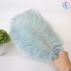 25-30Cm Colorful Ostrich Feathers, Wedding Table Flower Decoration, Wedding Decoration, Stage Performance Props Diy Jewelry