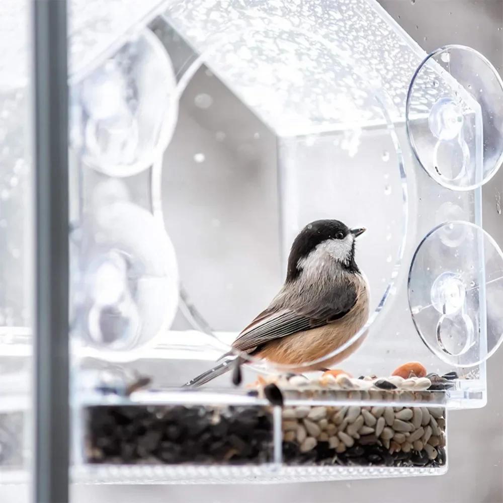 Acrylic Clear Glass Window Birds Hanging Feeder Birdhouse Food Feeding House Table Seed Peanut Suction Cup