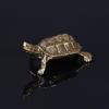 Handcrafted Longevity Turtle Ornament - Solid Old-Fashioned Tea Pet Gift for the Home