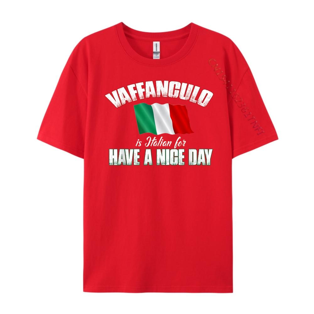 Vaffanculo Have A Nice Day Shirt Funny Italian Graphic Shirts TShirt Tshirt Graphic S