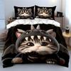 3Pcs Adorable Cat In Dragon Hoodie Duvet Cover Set With 3D Printing Design Soft Polyester Bedding Set All-Season Comfort