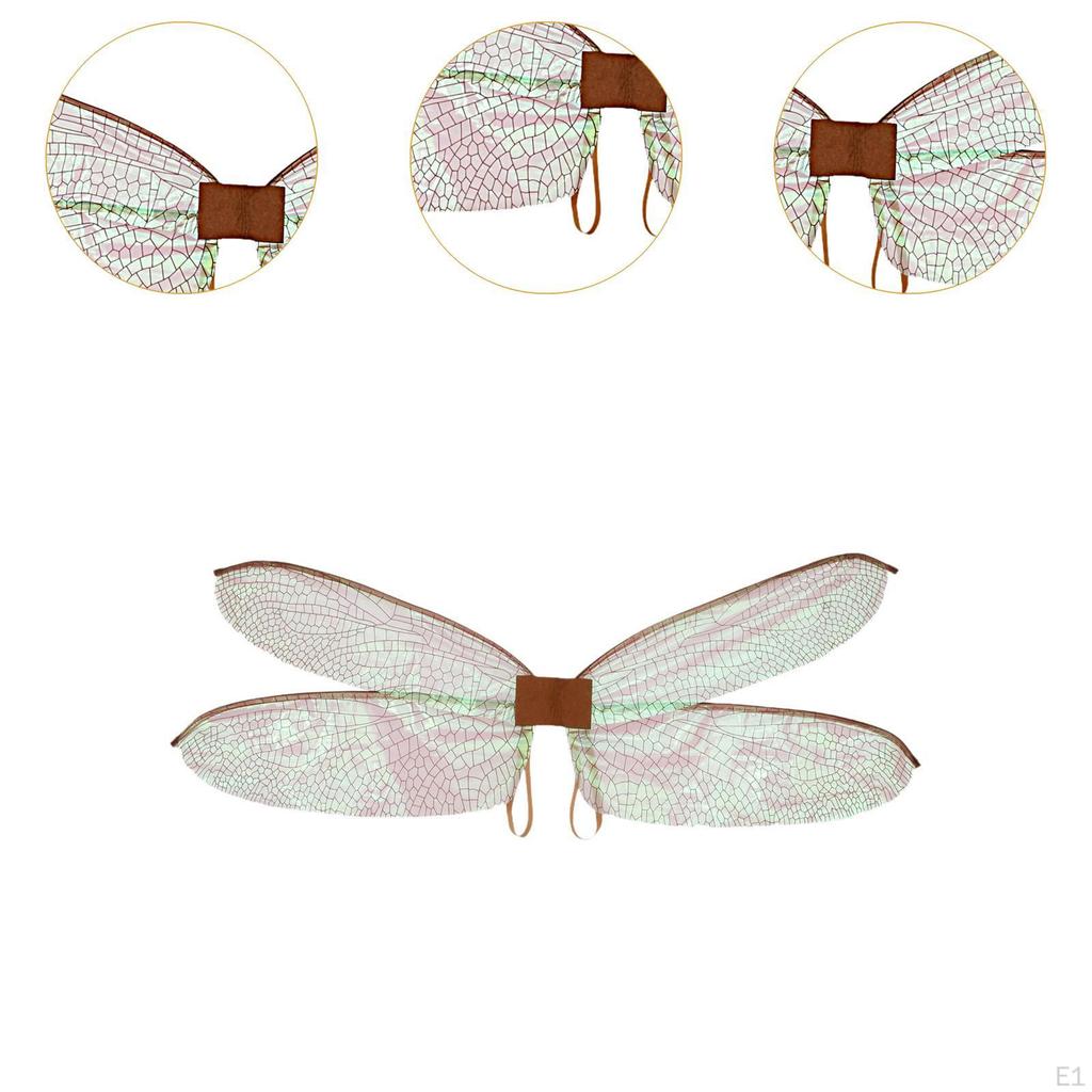 Dragonfly Fairy Wing Dress Up Item for All Ages At Festivals