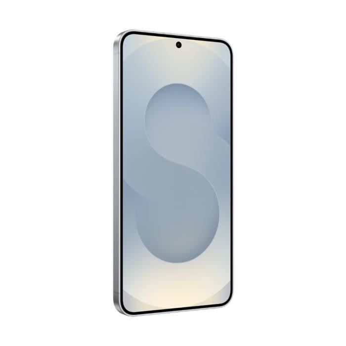 Samsung Galaxy S25 5G 12 Go/256 Go Gris (Silver Shadow) Double SIM SM-S931B