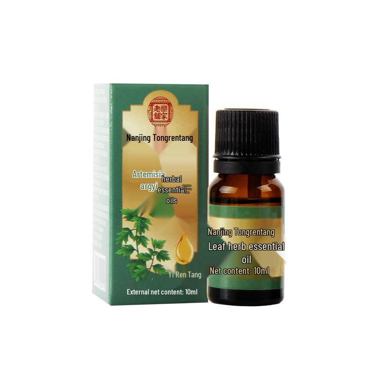 Mugwort Essential Oil Blend for Back Massage with Ginger and Rose
