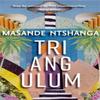 Triangulum by Masande Ntshanga Paperback Book 9781909762954