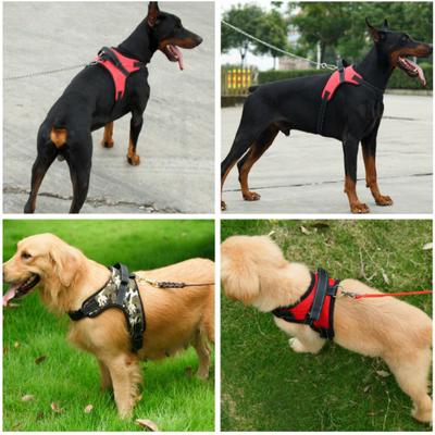 Solides mittleres großes Hundehalftergeschirr, reflektierendes LED-Kragen, verstärkter Griff, atmungsaktive Netzweste, Schnalle, führt Haustier