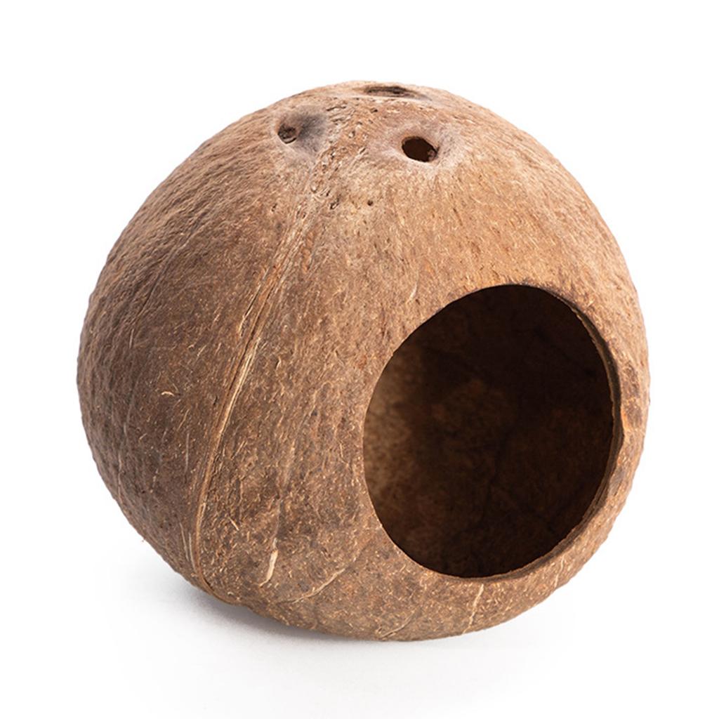 Hamsterhaus Kletterleiter Kokosnuss Verstecke Nest Lebensraum Dekorationen für Mini Rennmäuse Goldhamster Meerschweinchen Kleintier