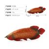 Solid Static Simulation Marine Animal Model Plastic Ornament Golden Arowana Silver Arowana Children'S Toy Figure