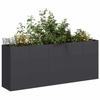 Boliginnredning – Dekorative blomsterpotter