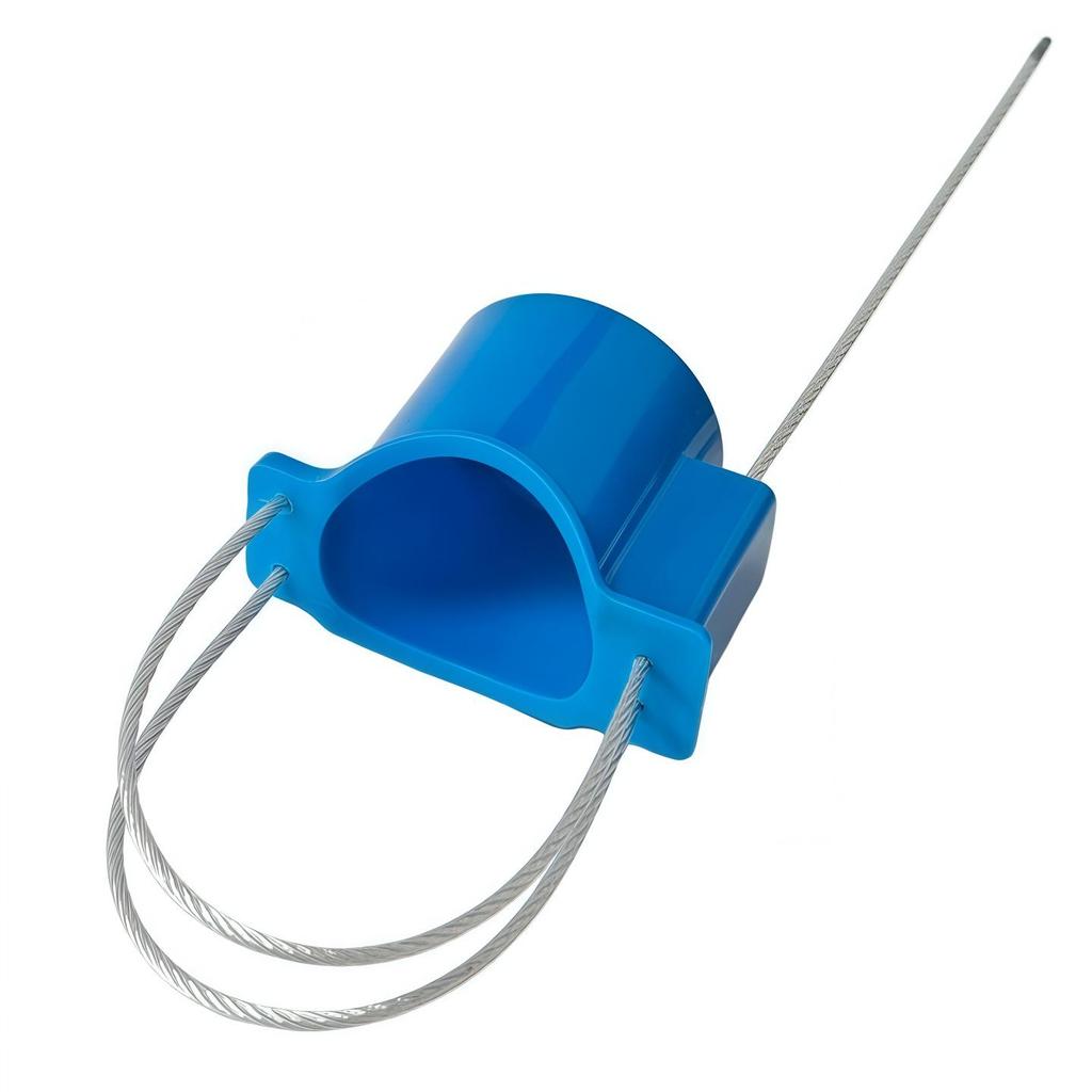 Anti-Theft Thermal Valve Seal and Lock