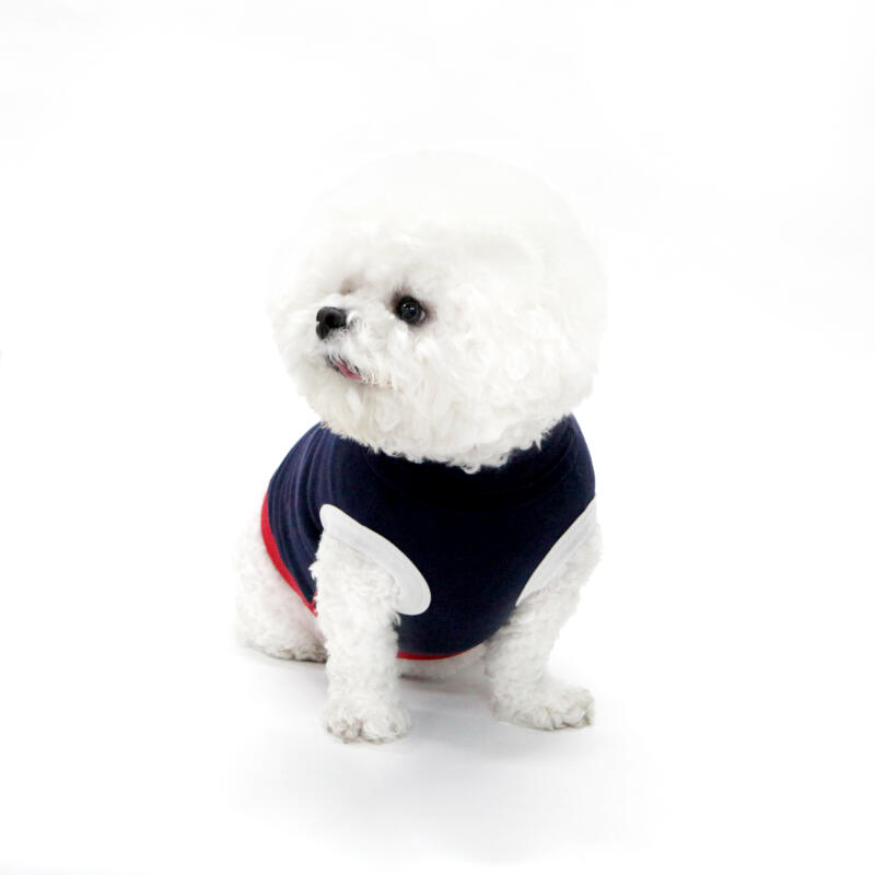 KINI DAILY TURTLENECK SLEEVELESS-2COLOR(Sleeve)