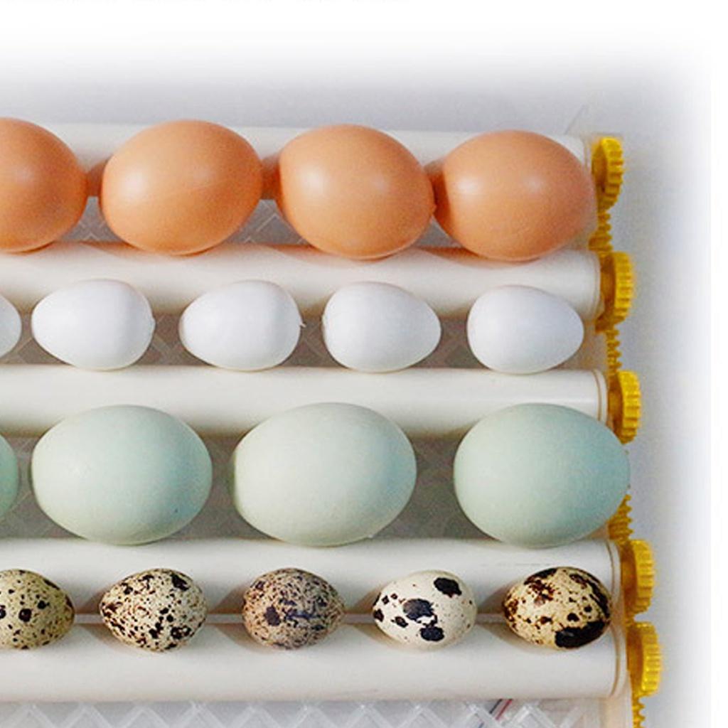 80W Automatic Farm Hatchery Incubator Brooder Machine 64 Eggs Turning Incubator Egg Hatchers For Chicken Poultry Bird Quail
