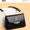 Women's Bag New Single Shoulder Crossbody Bag Women's Bag Versatile Large Capacity High-end Feeling Women's Bag