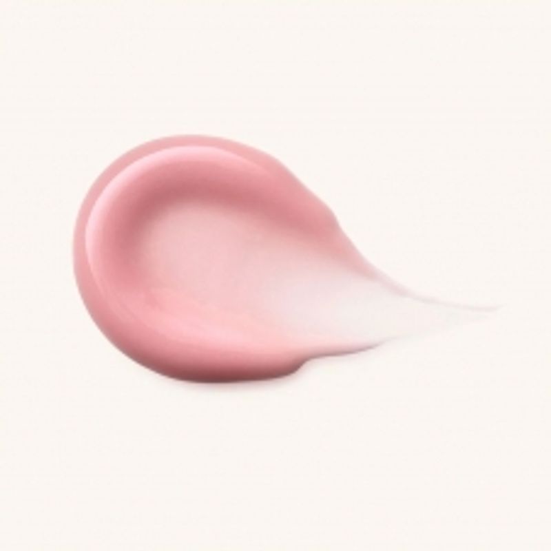 Catrice Plum It Up Lip Gloss (020) 3.5ml