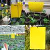 20-200Pcs Fly Sticker Double Sided Flying Insect Catcher Fly Trap For Greenhouse Home Garden Bug Mosquito Trap Glue Sticky Board