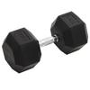 Dumbbell 30 Kg Cast Iron