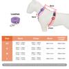 Classic Step-in Dog Harness and Leash Set-No Pull Pet Adjustable Halter Harness with Leash Easy Walk Running Training for Small Dogs&cat
