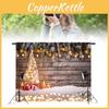 Ateliérové vybavení – Fotografická pozadí