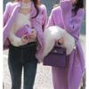 Purple French Twist Knitted Dress Base Sweater Dress Women