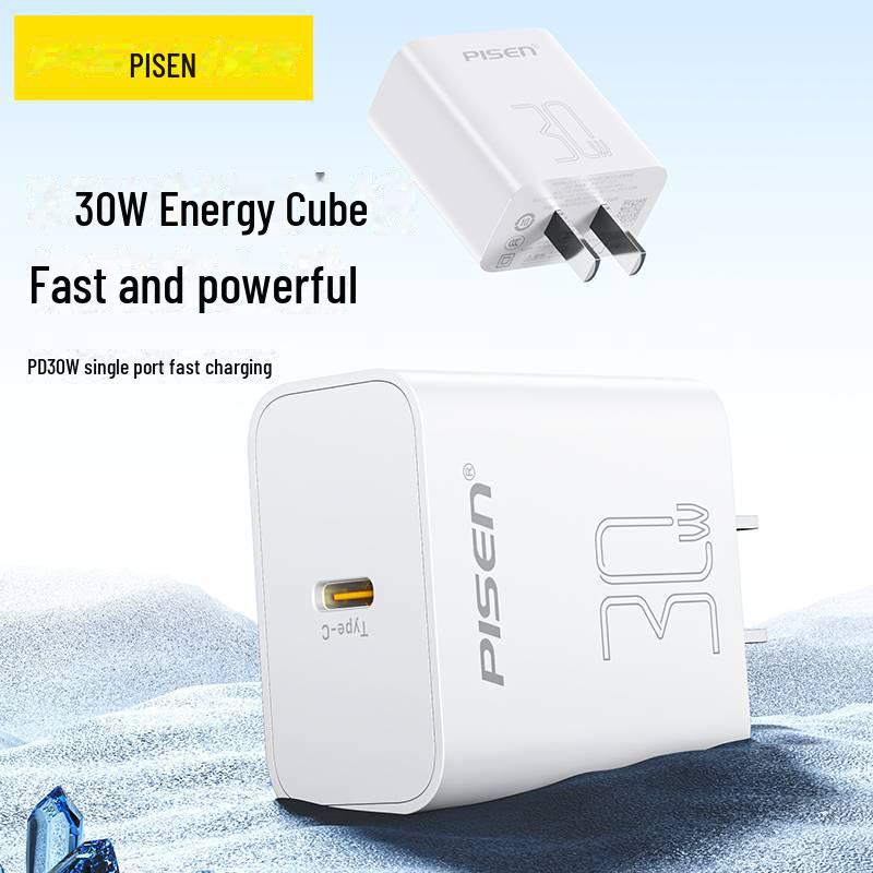 PISEN 30W PD Fast Charger with Type-C Cable for Apple 15 Pro Max and Android Devices