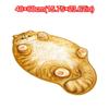 Absorbent Cat Shaped Rug Soft Surface Cat Shaped Carpet Cute Animal Print Rug  Bedroom Decor