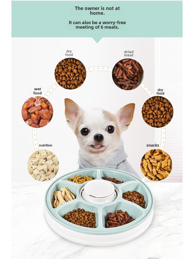 Smart husdjursmatare med sex fack och stor kapacitet med musikalisk påminnelse