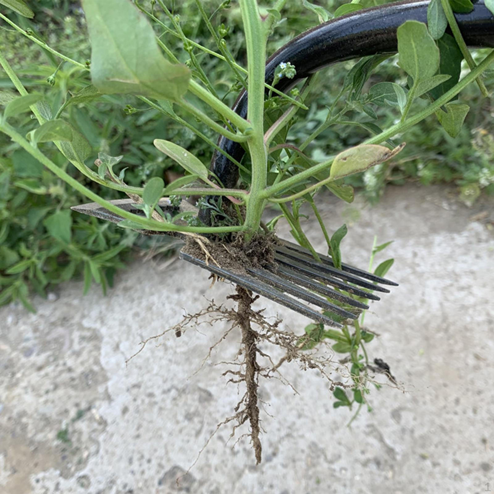 Garden Weeder Tool Weeding Puller, Digging with Long Handle Hand Removal Manual 6 pointy