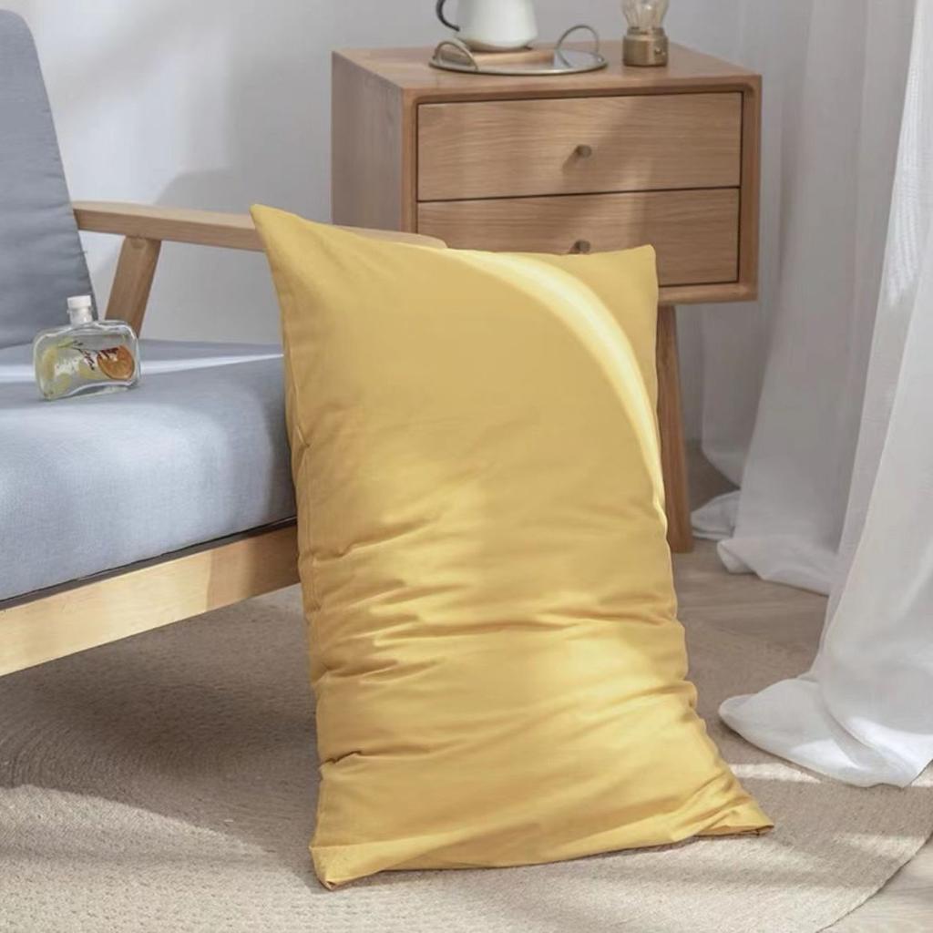 1 Pair Brushed Pillowcases, Warm Solid Color Pillowcases, Simple 48*74cm Japanese Pillowcases, Pillowcases Without Inserts