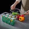 Food Grade Plastic Storage Box with Lid for Refrigerator/Freezer - Rectangular Container for Fruits & Vegetables