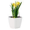 Plastic Self Watering Flowerpot Lazy Desktop Rectangular Square Plant Flower Pots with Water Level Indicators for Office