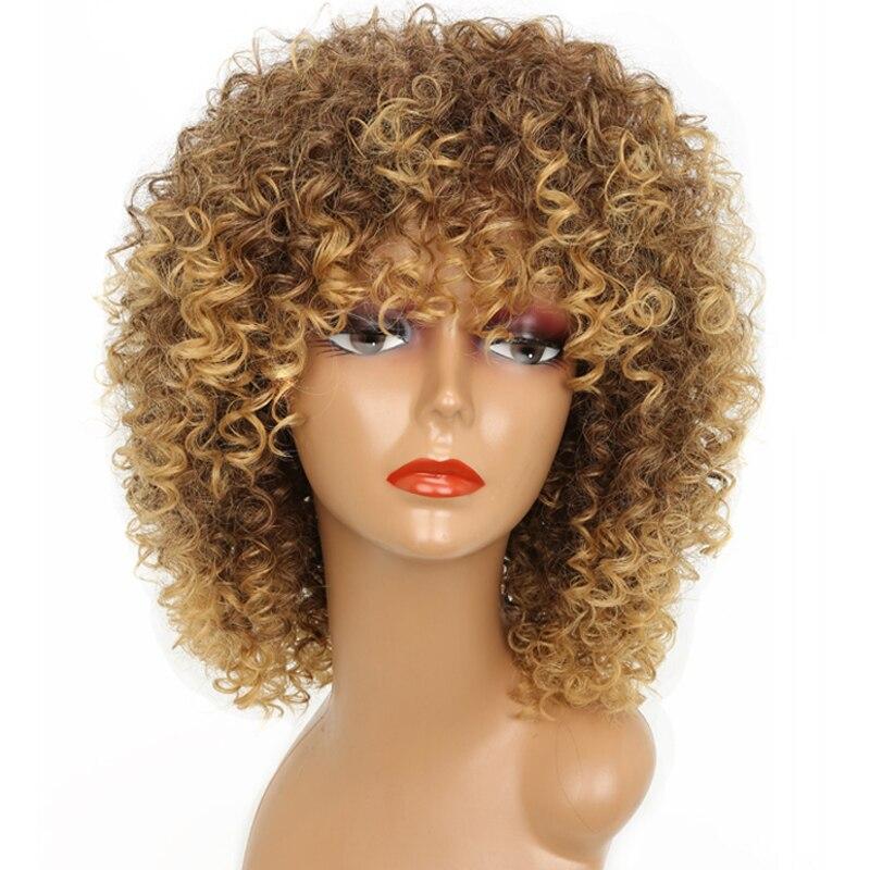 LISI HAIR 14inches Afro Kinky Curly Wig Synthetic Wig With Bangs Mixed Gray Brown and Blonde  Wig for Black Women Daily Wig