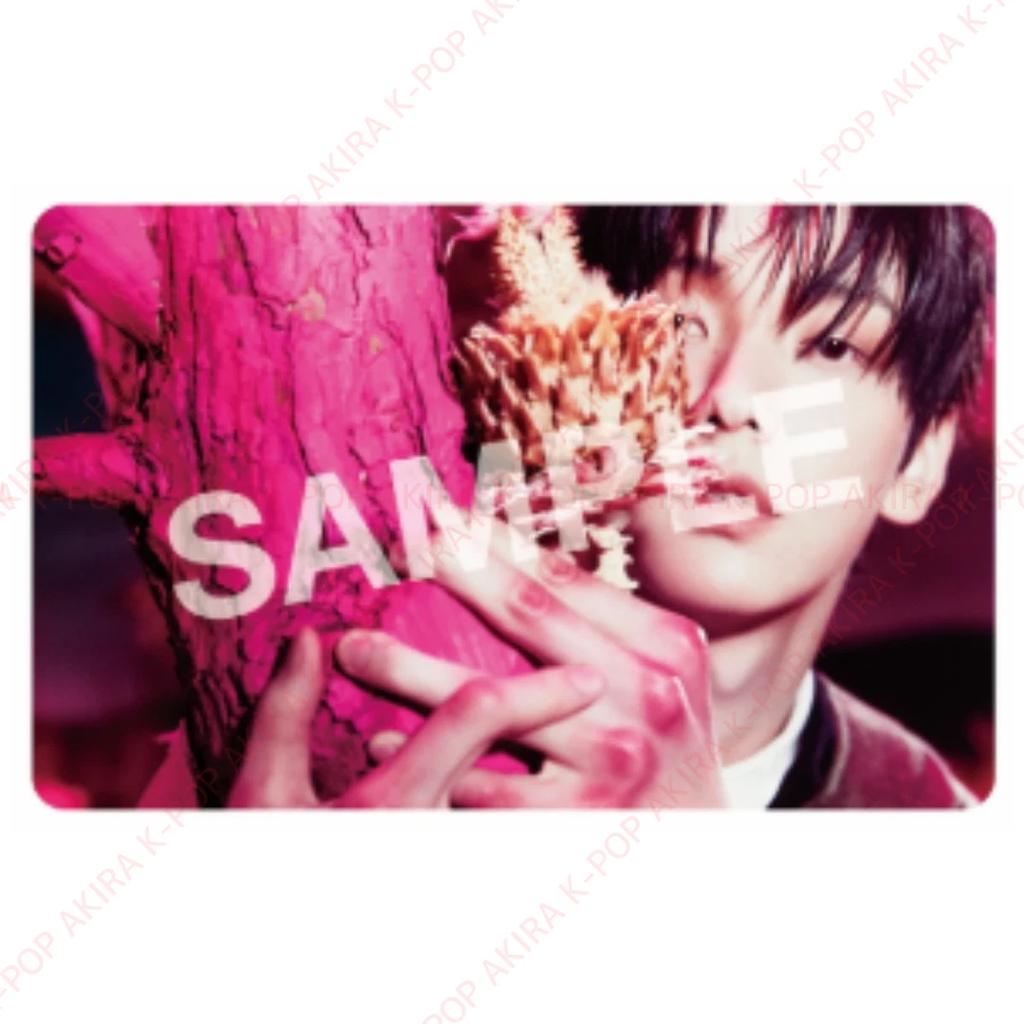 PRE-ORDER TXT 7TH YEAR: A Moment of Stillness In the Thorns POB LD PHOTO CARD OFFICIAL