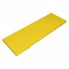 Thick PU Gymnastics Pad Premium Cushioning Portable Exercise Mat Durable Fitness