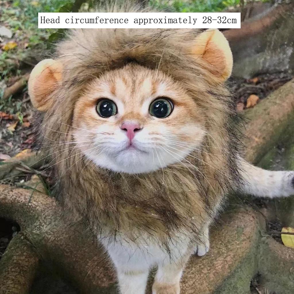 Cute Cat Hat Funny Halloween Cosplay Lion Scarf Wig For Small Dogs Cats Kitten Puppy Headgear Pug Creative Clothes Accessories